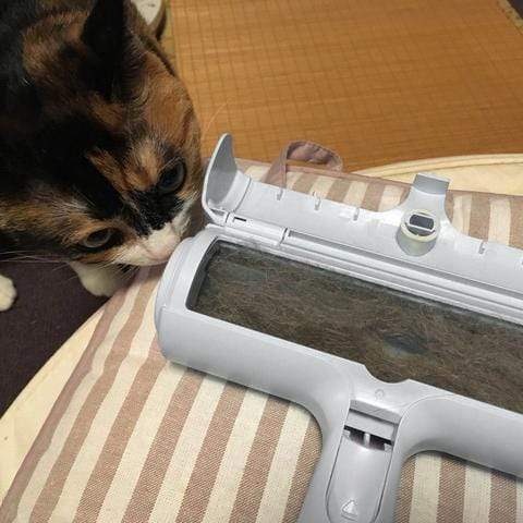 PetPaw™ - Rouleau de suppression de poils d'animaux de compagnie