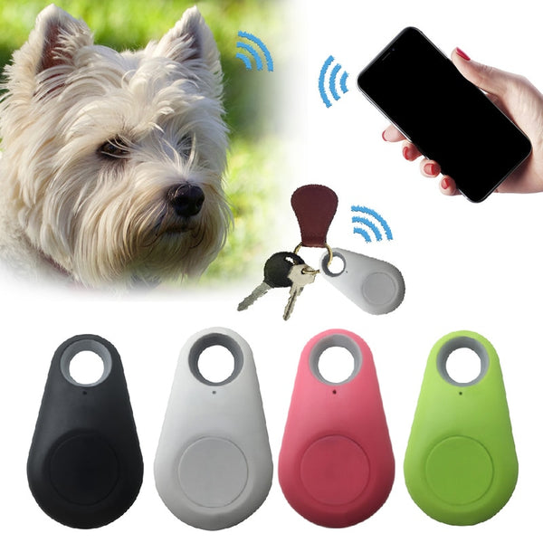 Track-R™ | TRAQUEUR DE CHIEN -  GPS
